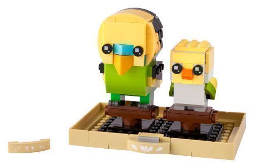 Set 40443