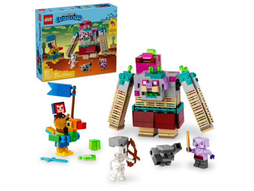 Set 21257