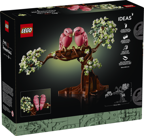 Set 21365