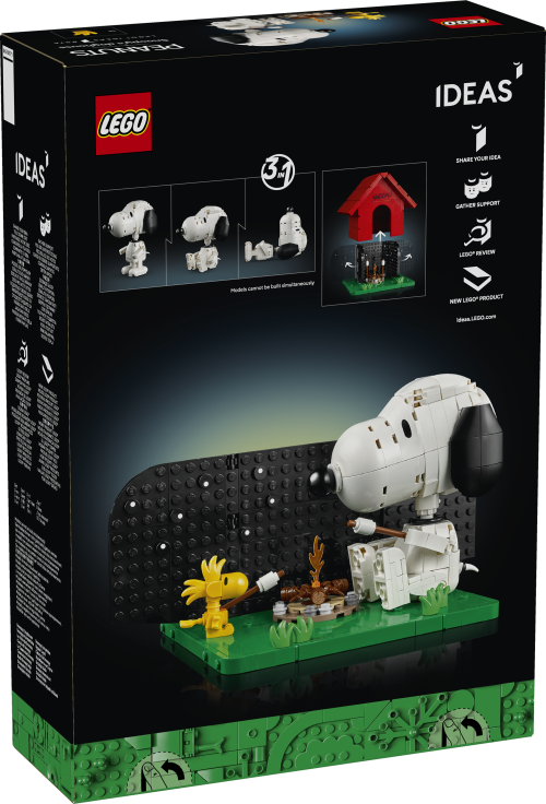 Set 21368