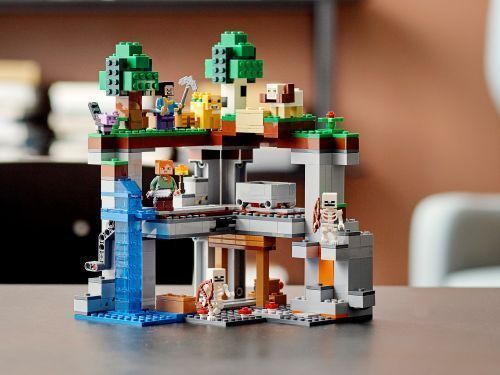 Set 21169
