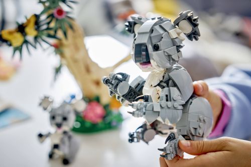 Set 31388