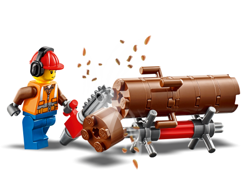 Set 60181