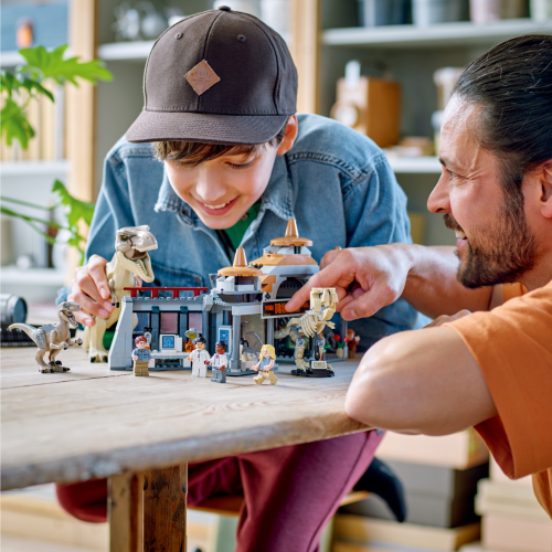 Set 76961