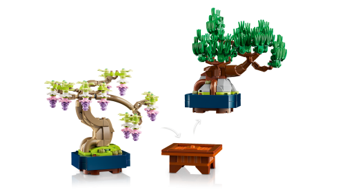 Set 10373