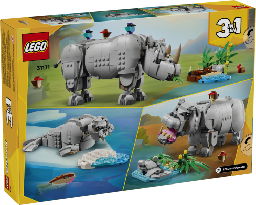 Set 31171