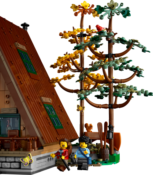 Set 21338