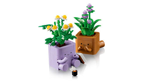 Set 10371