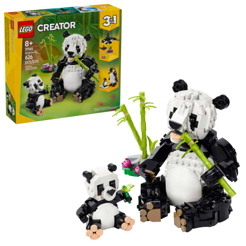 Set 31165