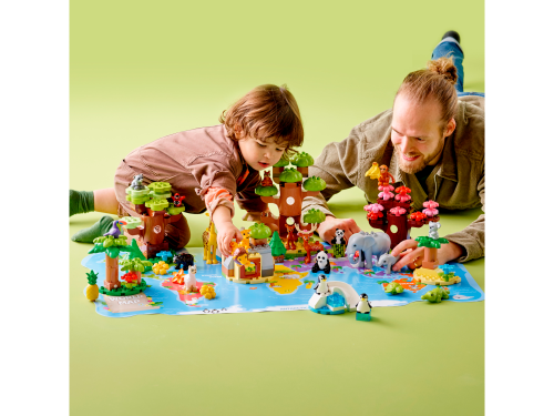 Set 10975