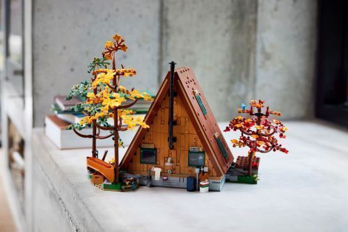 Set 21338