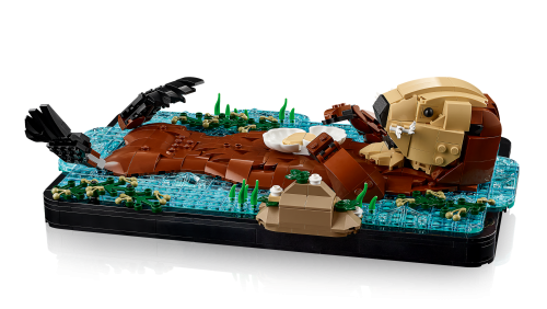 Set 21366