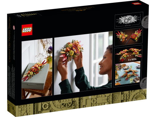 Set 10314