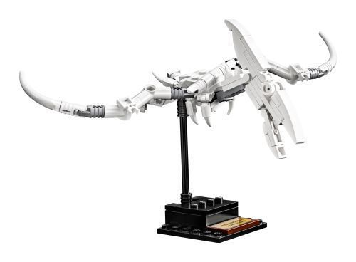 Set 21320