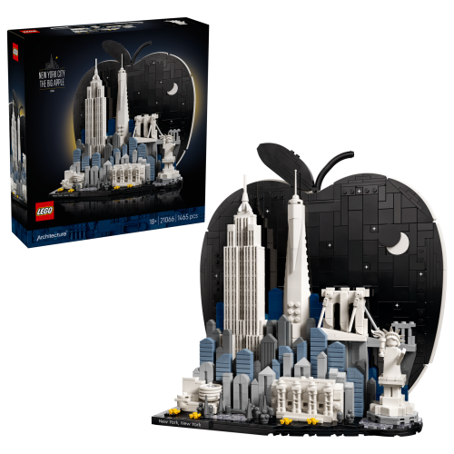 Set 21066