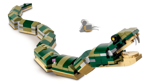 Set 31121