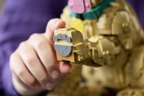 Set 11384