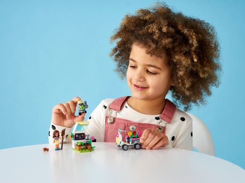Set 41425