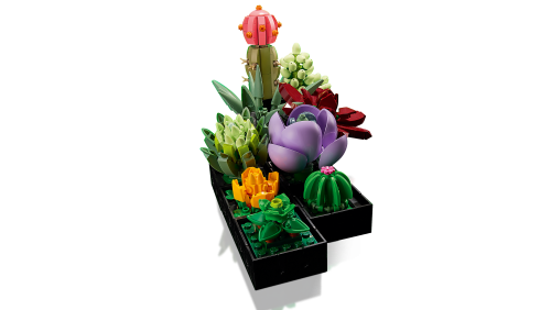 Set 10309