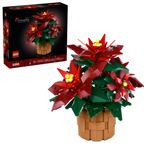 Set 10370