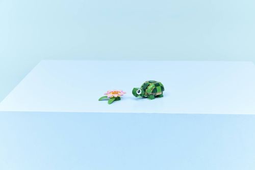 Set 31377