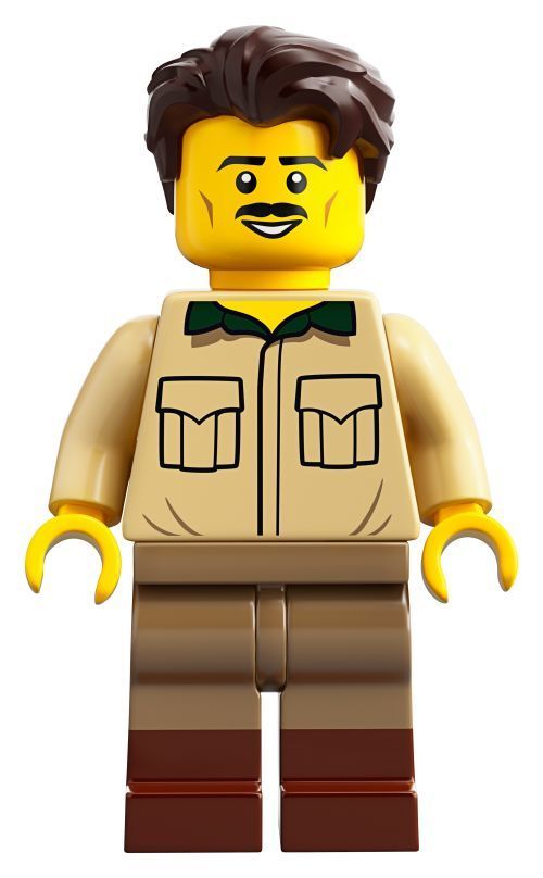 Set 21320