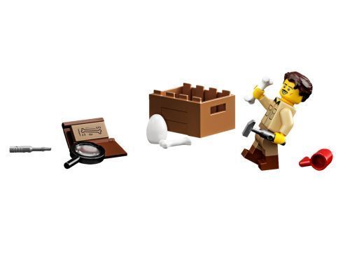 Set 21320