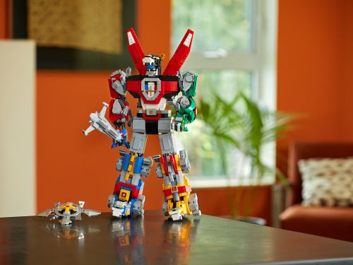 Set 21311