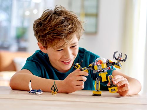 Set 31090