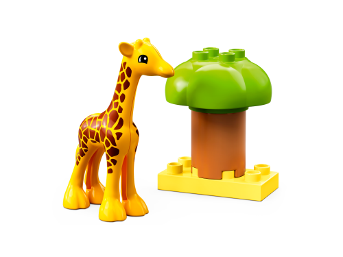 Set 10971