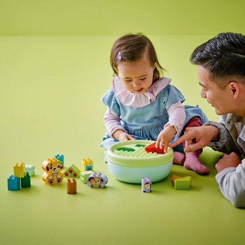 Set 10441