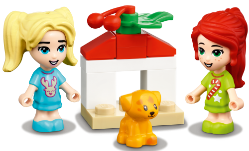 Set 41690