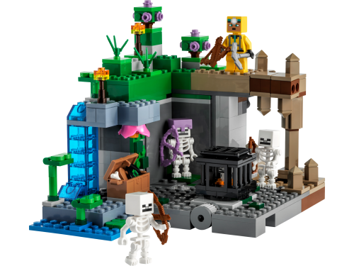 Set 21189