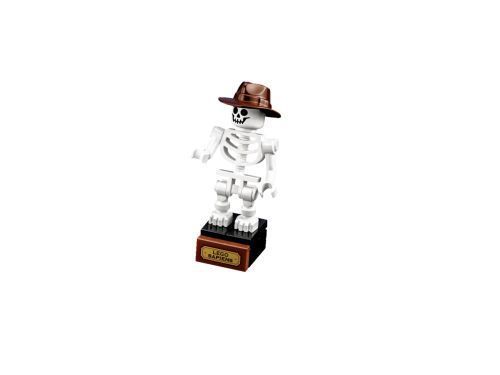 Set 21320