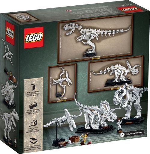 Set 21320