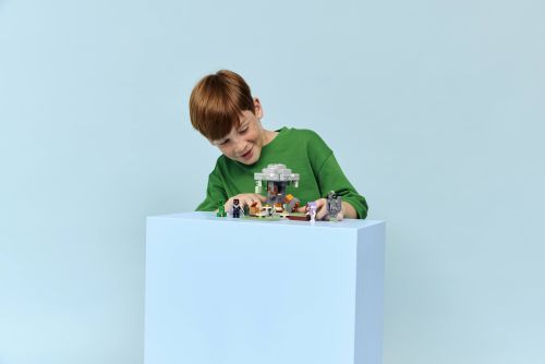Set 21586
