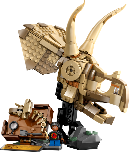 Set 76969