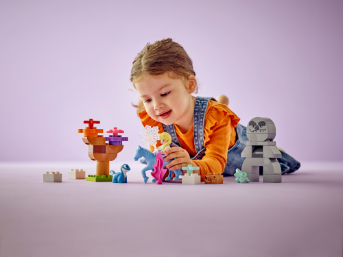 Set 10418