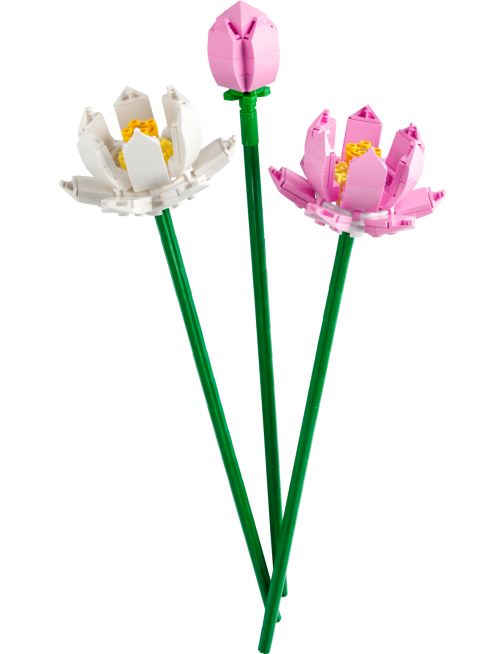 Set 40647