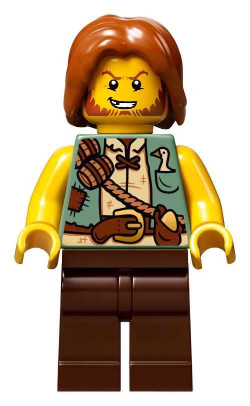 Set 21315