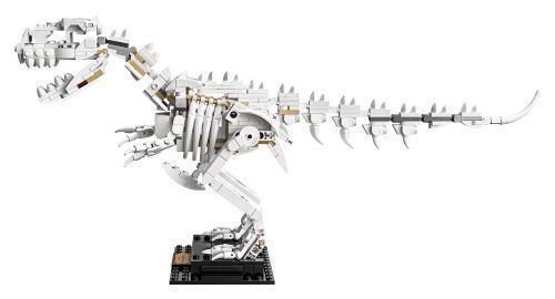 Set 21320