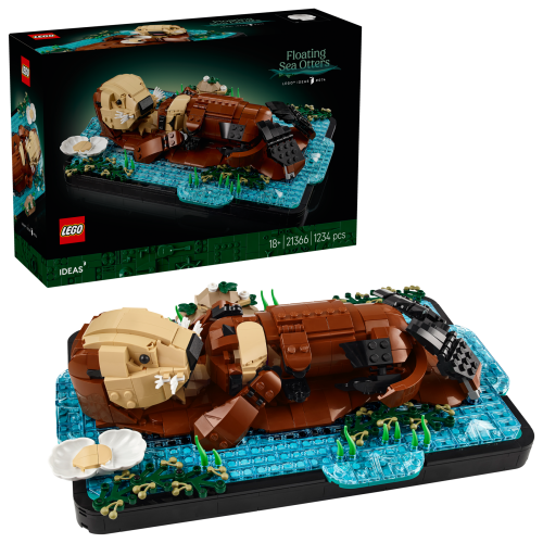 Set 21366