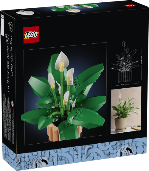 Set 11504