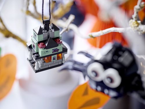 Set 40493