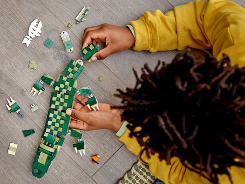 Set 31121