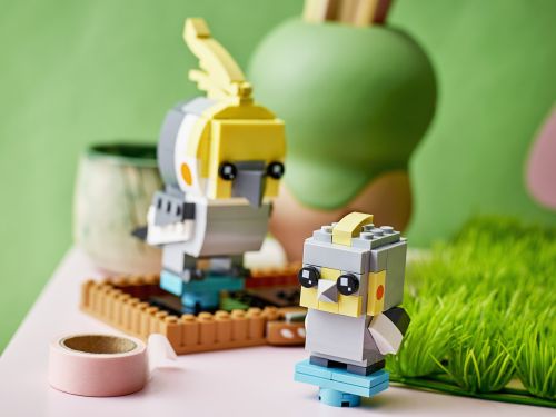 Set 40481