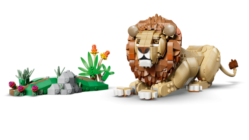 Set 31386