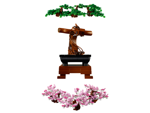 Set 10281