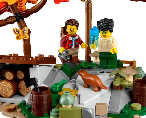 Set 21338