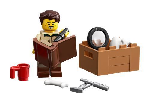Set 21320